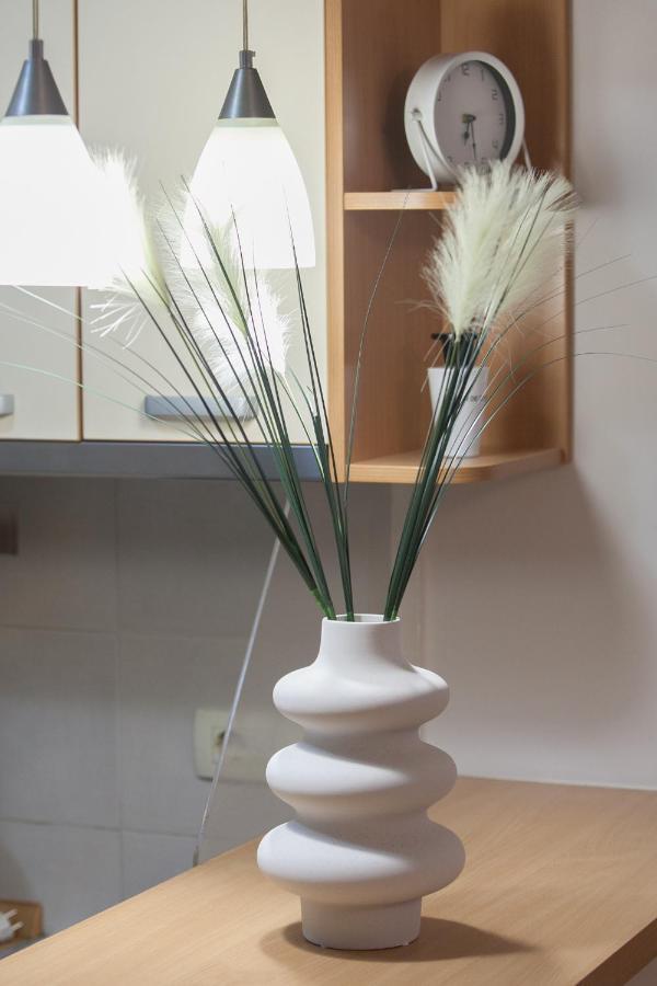 City Nest Apartment Podgorica Ngoại thất bức ảnh
